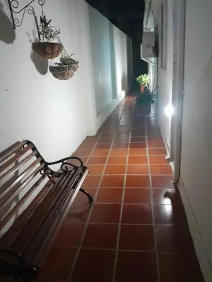 a hallway with a bench and potted plants on the wall at Casa Estela in Cartagena de Indias