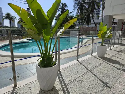 a plant in a white planter next to a pool at Moderna suite con balcón a pasos de la playa in Cartagena de Indias