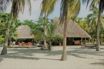 a resort with palm trees on a sandy beach at Cabaña frente al mar en la playa del Calao in San Antero