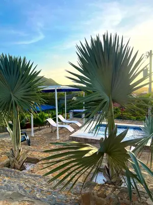 two palm trees in front of a swimming pool at Liz&Mar Glamping in Tubará