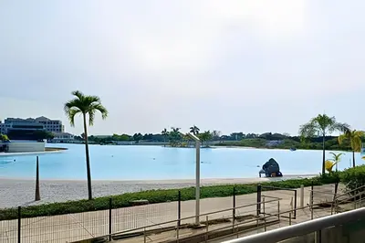 a view of a large body of water with palm trees at Vista impresionante y cama king en Baia Kristal in Los Arrayanes