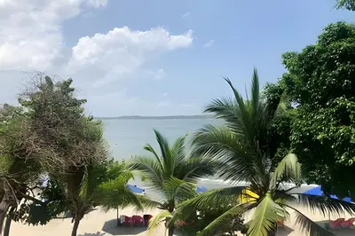 a view of a beach with palm trees and the ocean at Bello apartamento con acceso directo a la playa in Cartagena de Indias