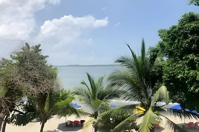 a view of a beach with palm trees and the ocean at Bello apartamento con acceso directo a la playa in Cartagena de Indias