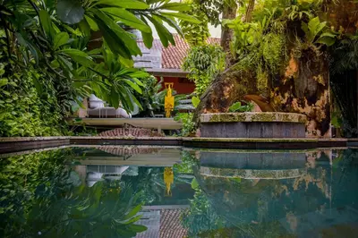 a pool of water in a garden with trees at Hotel casa santiago botero in Cartagena de Indias
