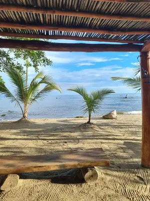 a view of a beach with palm trees and the ocean at Veleta Playa Calao in San Antero