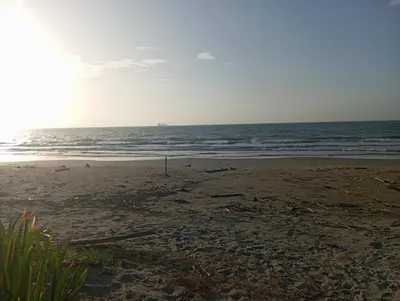 a sandy beach with the ocean in the background at Habitaciones frente al mar in Carretal
