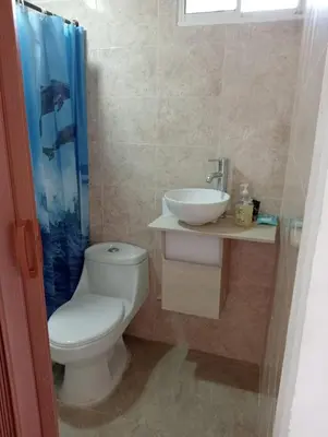 a bathroom with a toilet and a sink at Habitaciones frente al mar in Carretal