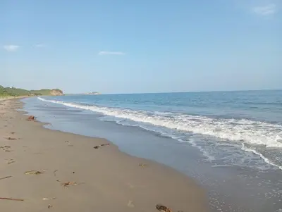 a beach with footprints in the sand and the ocean at Habitaciones frente al mar in Carretal