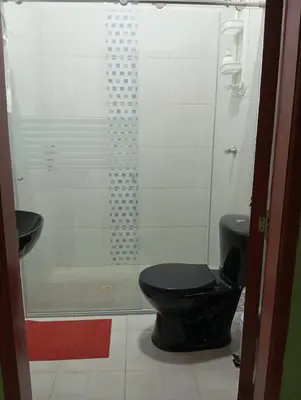 a bathroom with a toilet and a shower at Apartamentos el farol in Ciénaga