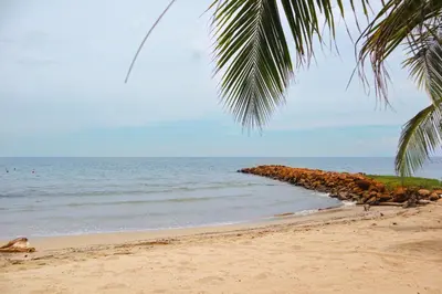 a beach with a palm tree and the ocean at Magico Apartamento Frente al Mar 3 Habitaciones TR52 in Coveñitas