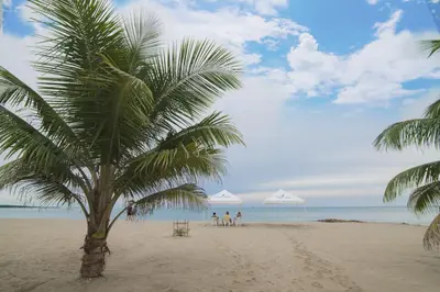 a palm tree on a sandy beach with umbrellas at Magico Apartamento Frente al Mar 3 Habitaciones TR52 in Coveñitas