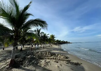 a beach with a bunch of palm trees and the ocean at Cabaña de ensueño en Coveñas in Puerto Viejo