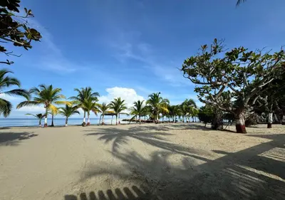 a sandy beach with palm trees and the ocean at Cabaña de ensueño en Coveñas in Puerto Viejo