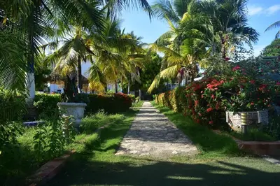 a path in a garden with palm trees and flowers at Hermosa Cabaña C15, Castillo Club in Coveñas