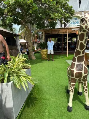 a fake giraffe standing on a field of grass at Hospedaje de lujo baru in Playa Blanca