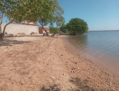 a beach with trees and water on it at Cabaña Barbacoas in Santa Ana