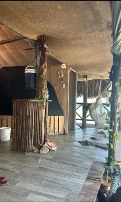 an inside view of a room with a tree at Hostal Ananda in Playa Blanca