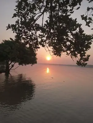 a sunset over a body of water with a tree at Cabaña Barbacoas1 in Santa Ana