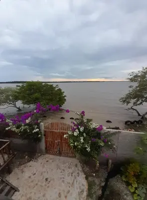 a garden with flowers and a view of the water at Cabaña Barbacoas1 in Santa Ana