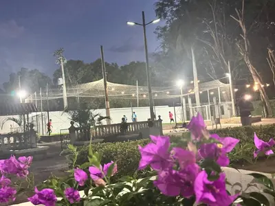 a group of purple flowers in a park at night at Quinta San Gabriel House in Turbaco