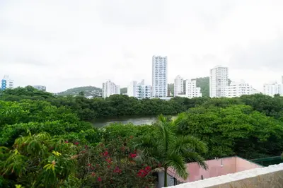 a view of a river with trees and buildings at Cartagena Apartamento in Cartagena de Indias