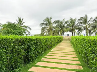 a path through a hedge with palm trees in the background at Espectacular apartamento con piscina privada - Morros Zoe in Cartagena de Indias