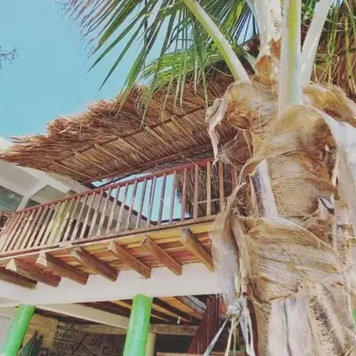 eco hotel lili