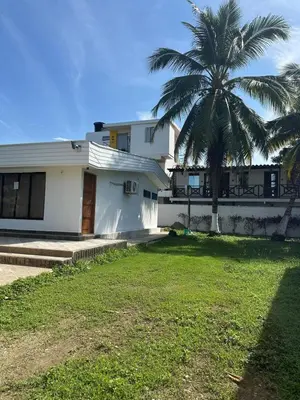 a white house with a palm tree in front of it at Casa Blanca in Coveñas