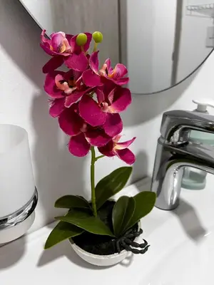 a pink flower sitting on a bathroom counter next to a sink at Apt luxury wifi AC pool at Cartagena in Cartagena de Indias