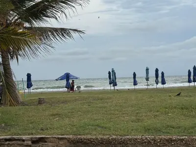a group of closed umbrellas on a beach at Apto refugio del mar in Cartagena de Indias