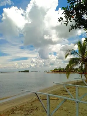 a view of a beach with a palm tree and the water at Hostal berpé in Coveñas