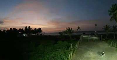 a dog is playing soccer on the beach at night at Hostal pura vida in San Bernardo del Viento