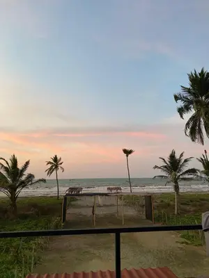 a view of a beach with palm trees and the ocean at Hostal pura vida in San Bernardo del Viento