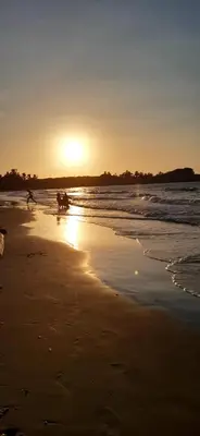 a dog walking on the beach at sunset at Tundsya in San Antero