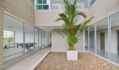 a palm tree in the courtyard of a building at Apto 305 Distrito 90 in Barranquilla