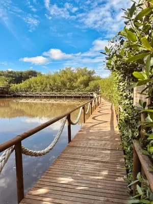 a wooden bridge over a body of water at Fotosíntesis - Apartamento frente al mar en Tolú in San Silvestre