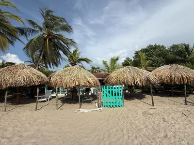 a beach with chairs and straw umbrellas and palm trees at Cabaña Tierramia 2 in San Silvestre