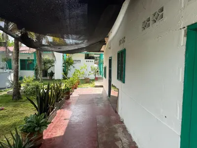 a hallway of a white building with plants at Cabaña Tierramia 2 in San Silvestre