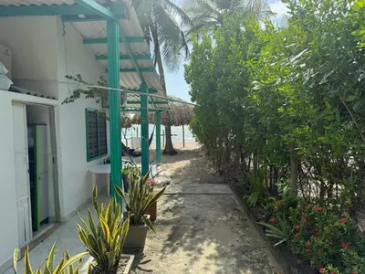a path next to a house with trees and plants at Cabaña Tierramia 2 in San Silvestre