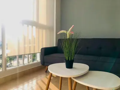 a living room with a couch and a table with a plant at Vive 801 in Cartagena de Indias