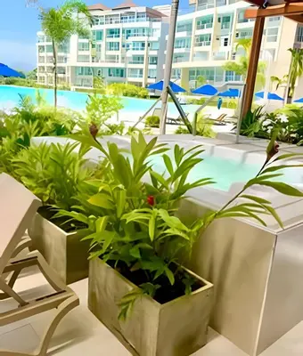 a table with plants on it next to a pool at Espectacular vista a laguna de Kristal / 1 alcoba in Los Arrayanes