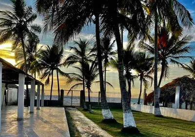 a group of palm trees next to the ocean at Cabaña 5 - Conjunto frente al mar con piscina in Coveñas
