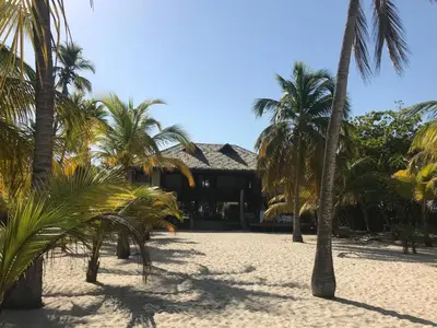 a resort with palm trees in front of a building at Beach House la Tortuga, Punta Seca, Rincón del Mar
