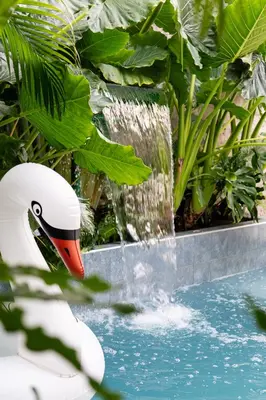 a bird head in front of a water fountain at The Villa Catalina in Cartagena de Indias
