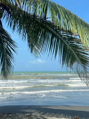 a view of the ocean from under a palm tree at Refugio olgamar, Cabaña con kiosco cerca al mar in Moñitos