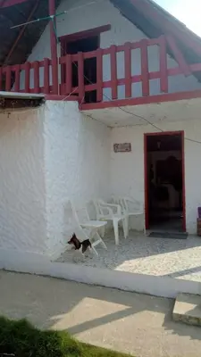 a dog laying on the ground next to a building at Refugio olgamar, Cabaña con kiosco cerca al mar in Moñitos