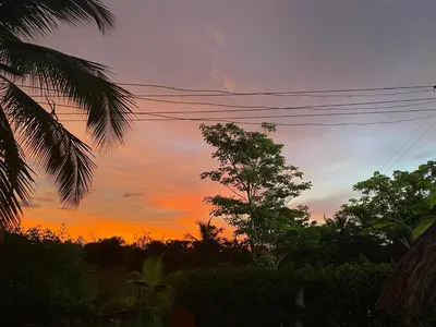 a sunset in the sky with trees and power lines at Refugio olgamar, Cabaña con kiosco cerca al mar in Moñitos