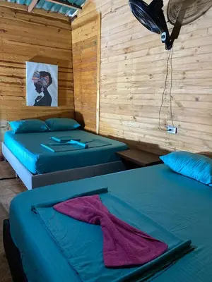 two beds in a room with wooden walls at Brisas del Mar Barú in Playa Blanca