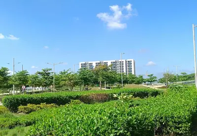a park with bushes and buildings in the background at Lajoya in Barranquilla