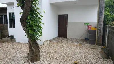 a tree in front of a room with a door at Hospedaje MangleRojo - Cerca al Mar in Coveñas